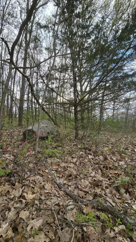 692 Pierce Rd, Plainwell, MI 49080 photo 43