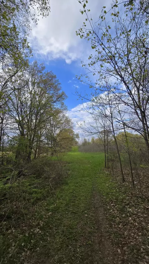 692 Pierce Rd, Plainwell, MI 49080 photo 14