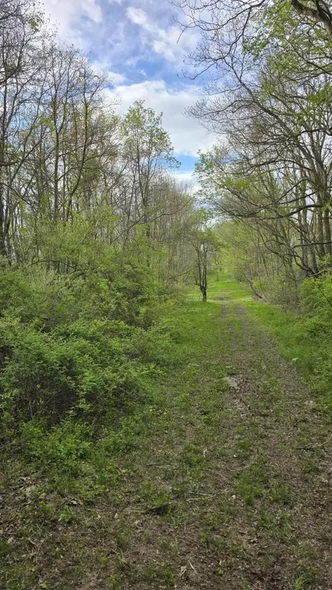 692 Pierce Rd, Plainwell, MI 49080 photo 36
