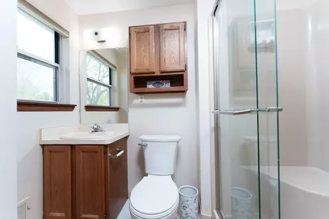 Bath - 6727 Robison Ln, Saline, MI 48176 photo 4 of 4