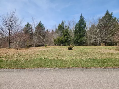 n slope drive, Onekama, MI 49675