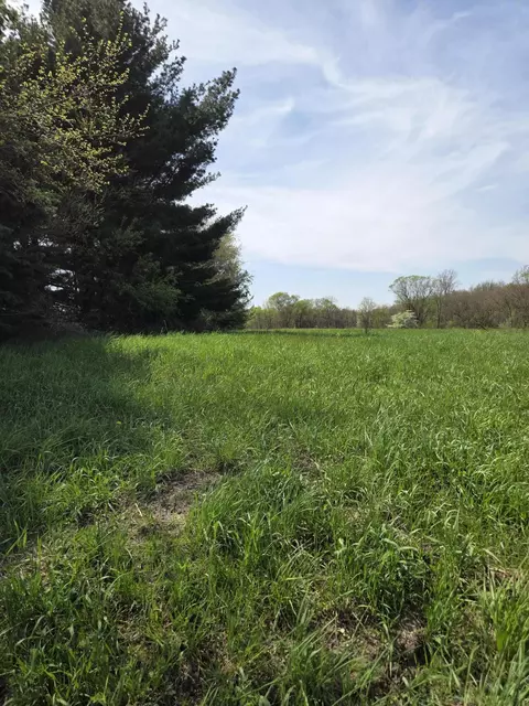 V/l 66th, Hartford, MI 49057
