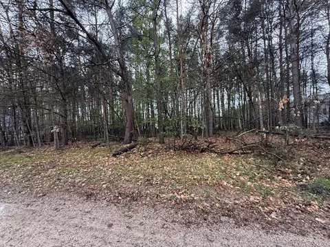 7745 Lakeview Dr, Stanwood, MI 49346