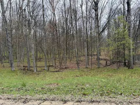 8196 Pine Tree Trl, Stanwood, MI 49346