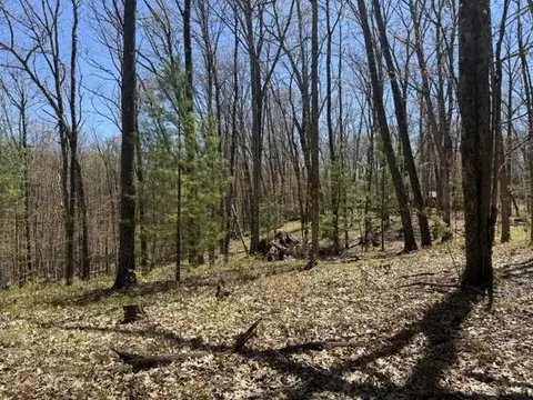 Exterior - 9826 S Orchid Ave, Baldwin, MI 49304 photo 28 of 31
