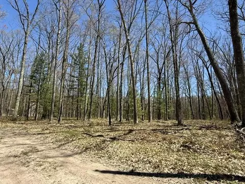 Other - 9826 S Orchid Ave, Baldwin, MI 49304 photo 4 of 4