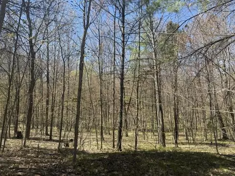 Exterior - 9826 S Orchid Ave, Baldwin, MI 49304 photo 31 of 31