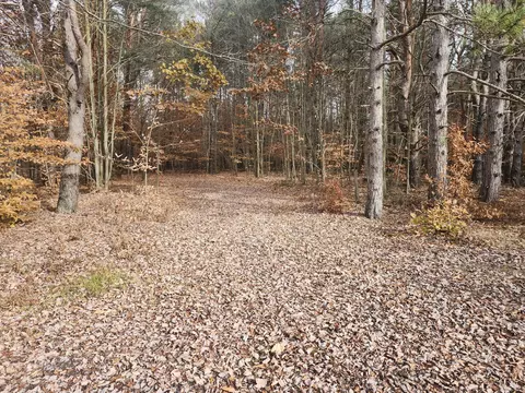 Vl 5 Acres 9 Mile Road, Kaleva, MI 49645