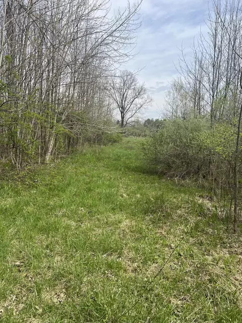 4816 109th Ave, Pullman, MI 49450 photo 14