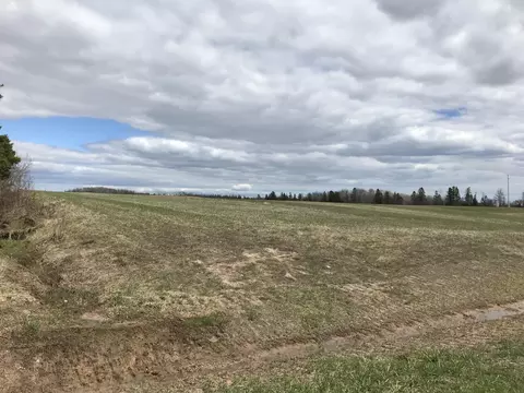 tbd S Clegg Rd, Pickford, MI 49774
