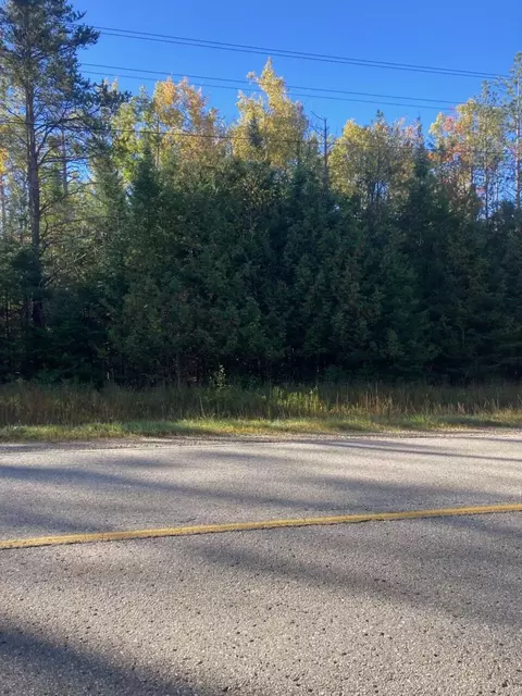 9165 Afton Rd, Afton, MI 49705