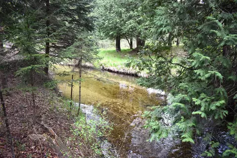 View/Area - 3559 E 56th St, Chase, MI 49623 photo 1 of 1
