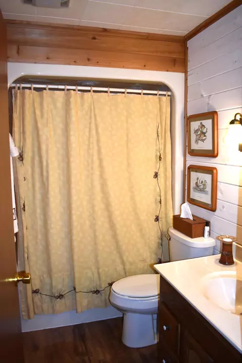 Bath - 3559 E 56th St, Chase, MI 49623 photo 2 of 2