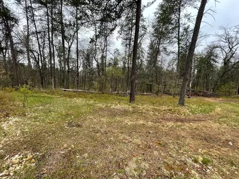 Exterior - 3490 W Stuck Rd, Irons, MI 49644 photo 9 of 10