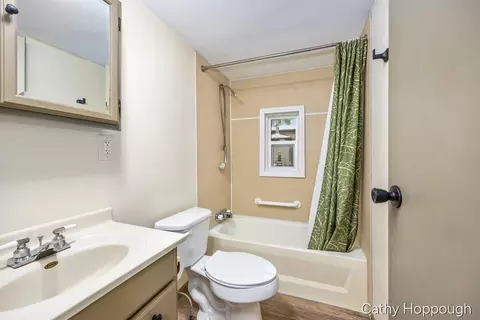 153 Baldwin St, Lyons, MI 48851 photo 22