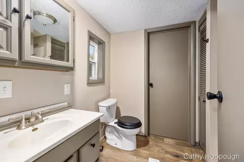 153 Baldwin St, Lyons, MI 48851 photo 18