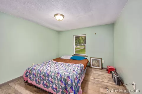 153 Baldwin St, Lyons, MI 48851 photo 21