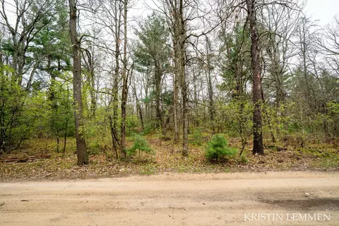 936 E Forest Vw, White Cloud, MI 49349 photo 33