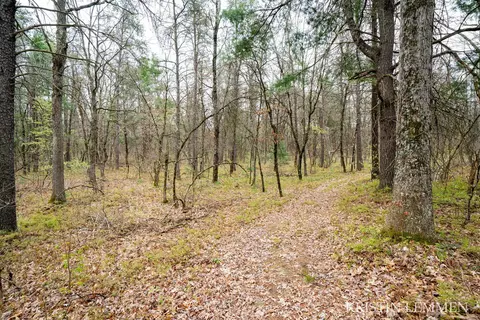936 E Forest Vw, White Cloud, MI 49349 photo 46