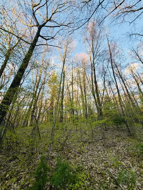 1661 N Centerline Rd, White Cloud, MI 49349 photo 34