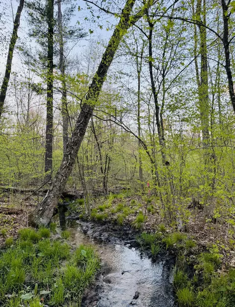 1661 N Centerline Rd, White Cloud, MI 49349 photo 31
