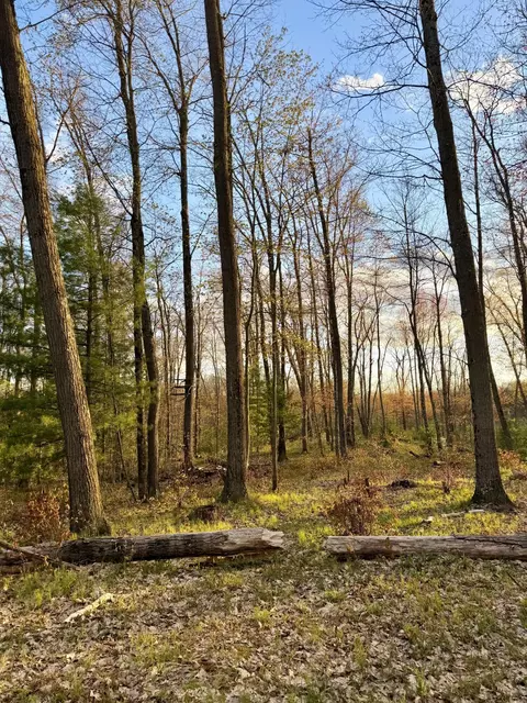1661 N Centerline Rd, White Cloud, MI 49349 photo 37