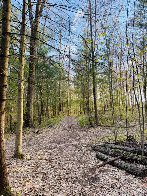 1661 N Centerline Rd, White Cloud, MI 49349 photo 38