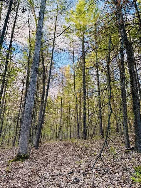 1661 N Centerline Rd, White Cloud, MI 49349 photo 39