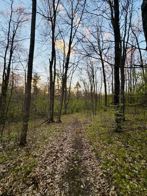 1661 N Centerline Rd, White Cloud, MI 49349 photo 35