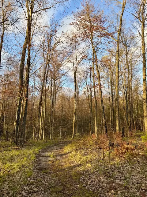 1661 N Centerline Rd, White Cloud, MI 49349 photo 36