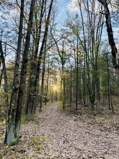 1661 N Centerline Rd, White Cloud, MI 49349 photo 32