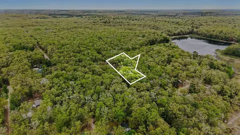 9075 S Larson Ave, Baldwin, MI 49304