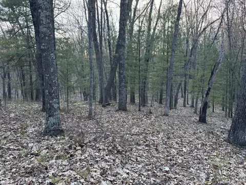 9075 S Larson Ave, Baldwin, MI 49304 photo 3