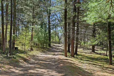 Other - 7492 E Townline Lake Rd, Harrison, MI 48625 photo 10 of 10