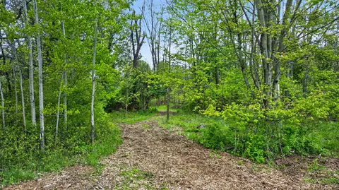 Mccain Road, Parma, MI 49269 photo 10