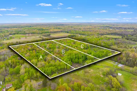 V/l 102nd Avenue, Grand Junction, MI 49056
