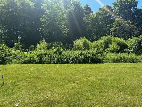 107 Diamond Point Ln, New Buffalo, MI 49117