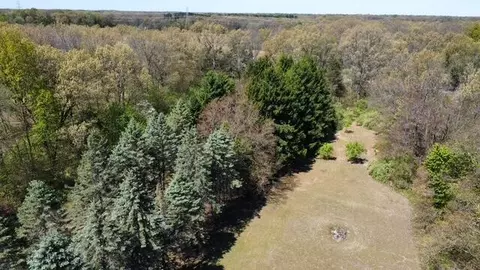 View/Area - 4115 S Van Kal St, Mattawan, MI 49071 photo 4 of 6