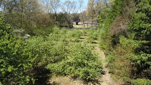 Other - 4115 S Van Kal St, Mattawan, MI 49071 photo 15 of 18