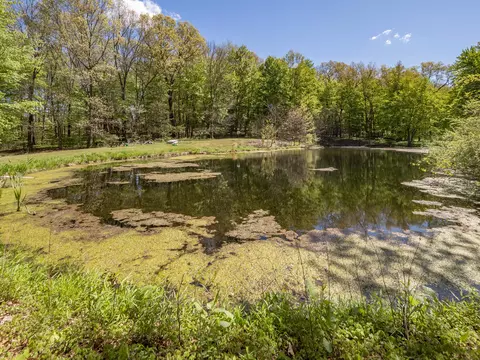 View/Area - 4115 S Van Kal St, Mattawan, MI 49071 photo 2 of 6
