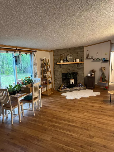 816 E James St, White Cloud, MI 49349 photo 9