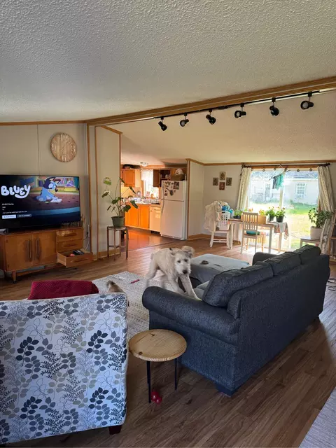 816 E James St, White Cloud, MI 49349 photo 10