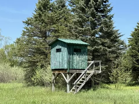 V/l Mcbride Road Nw, Stanton, MI 48888 photo 4
