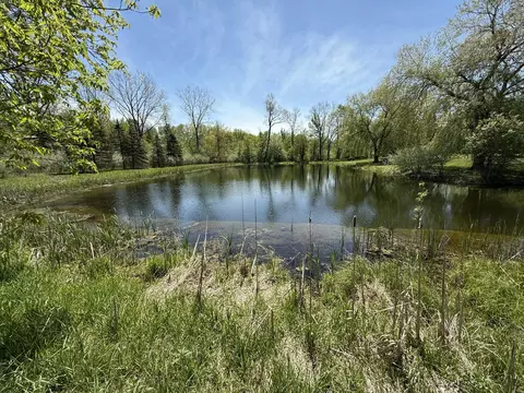 V/l Mcbride Road Nw, Stanton, MI 48888 photo 3