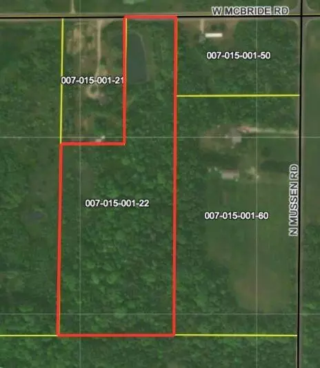 Mcbride Road Nw, Stanton, MI 48888