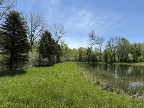 V/l Mcbride Road Nw, Stanton, MI 48888 photo 2