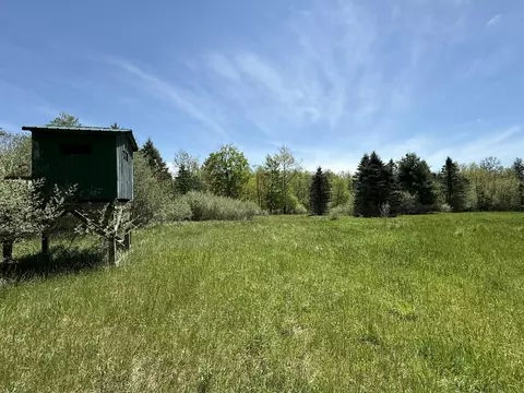 V/l Mcbride Road Nw, Stanton, MI 48888 photo 5
