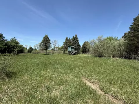 V/l Mcbride Road Nw, Stanton, MI 48888 photo 6