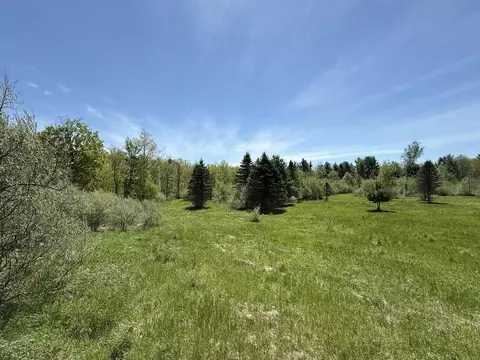 V/l Mcbride Road Nw, Stanton, MI 48888 photo 8
