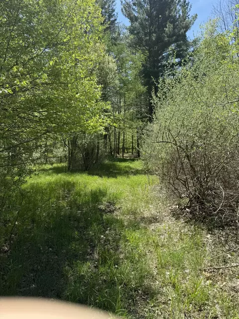 V/l Mcbride Road Nw, Stanton, MI 48888 photo 7